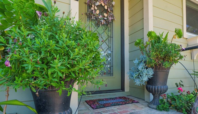 Wine Down Cottage in the Heart of Cambria