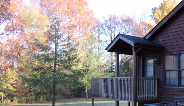 Winetrail Cabin - Giant City SP, SIU, Cedar Lake, & Shawnee Forest minutes away!