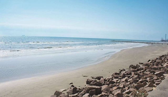 Wingate by Wyndham Galveston Beachfront at the Seawall