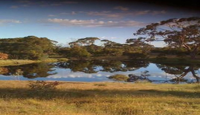 Wings Barossa Bird & Bush Retreat