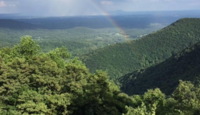 "Winnie's Retreat." Fantastic Mountain View