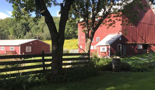 Winniebrook Farm - A beautiful 16 acre countryside farmstead