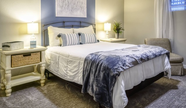 Winston Drive Delight