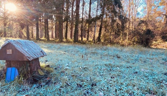 Winter and Christmas at Gites Rue Due Chateau - sleeps 10