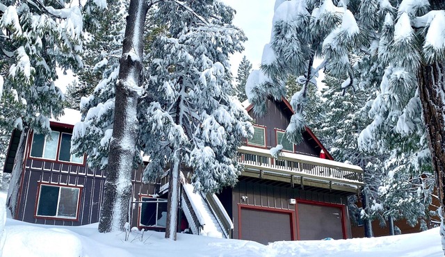 Winter Escape: Cozy Cabin Near Dodge Ridge — Make Memories with Family & Friends