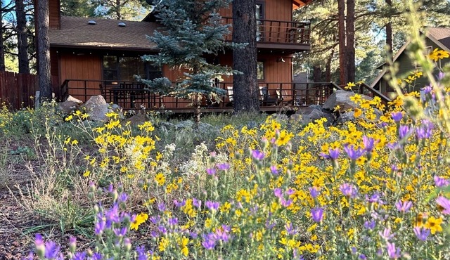 Winter is here in Flagstaff! Enjoy the pines in a 3 2 with a king bed