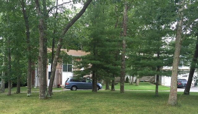 Winter or Year Round: Private home, Large deck, great neighborhood