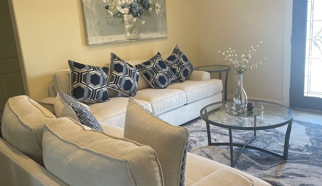 Winter Rental in Edinburg Furnished Home Monthly Savings Ideal for Snowbirds