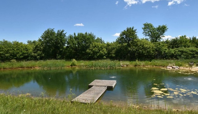 Winter ski/summer tennis & 2 ponds on 30 wooded acres, 7 km S of Creemore.