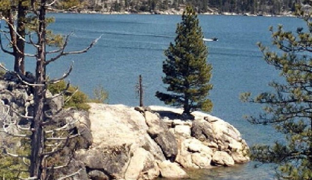Winter Way Cabin near Pinecrest