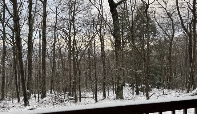 Wintergreen 1bed Condo, Walk to slopes, close to Hiking, Breweries, Wineries