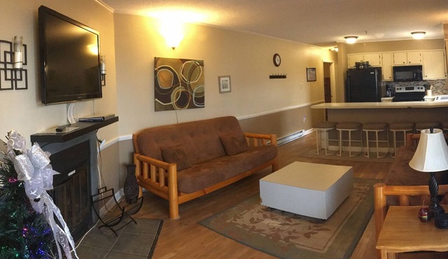 Winterplace Condo D301