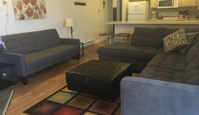 Winterplace Condo D303