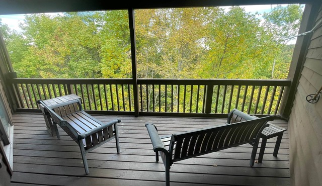 Winterplace Condo E306
