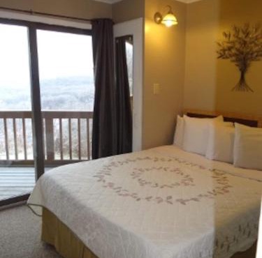Winterplace Ski in Ski out condo First Floor D103