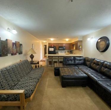 Winterplace Ski in Ski out condo First Floor D105