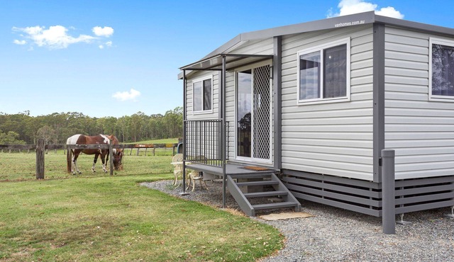 Winx in Manning Park Rest