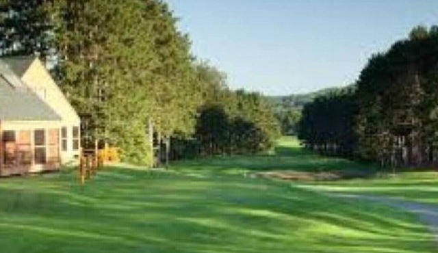 Wisconsin Dells 2 br Christmas Mountain Village A