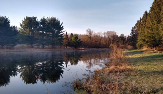 Wisconsin Dells Vacation Home -secluded property in the woods on 80 acres