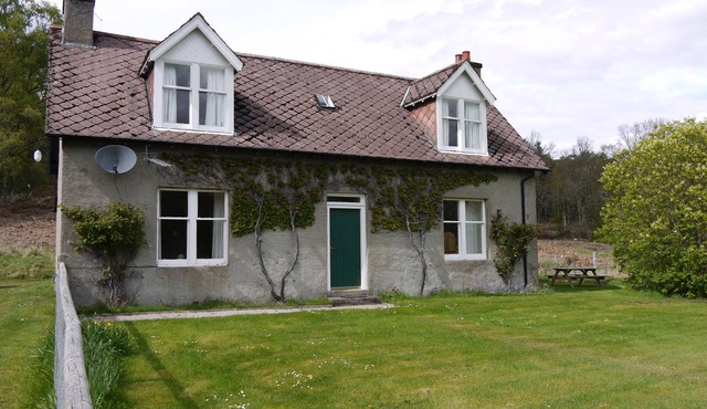 Wisdomhowe is a traditional cottage, surrounded by a birch woodland.