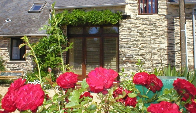 Wisteria Barn, South Brittany barn, free bikes, WiFi, near village