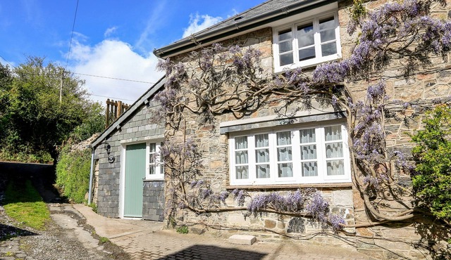WISTERIA COTTAGE, romantic in Buckfastleigh