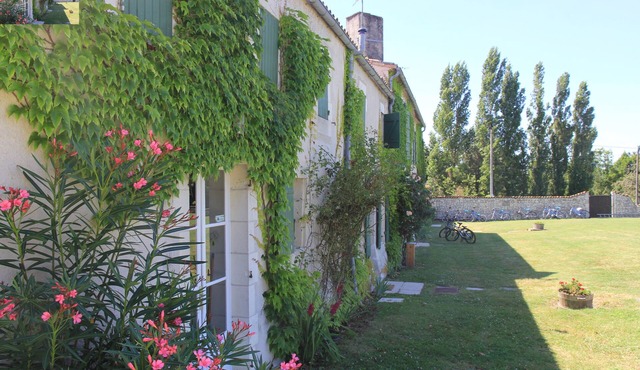 WISTERIA heated swimming pool surrounded by vineyards and not far from the beaches