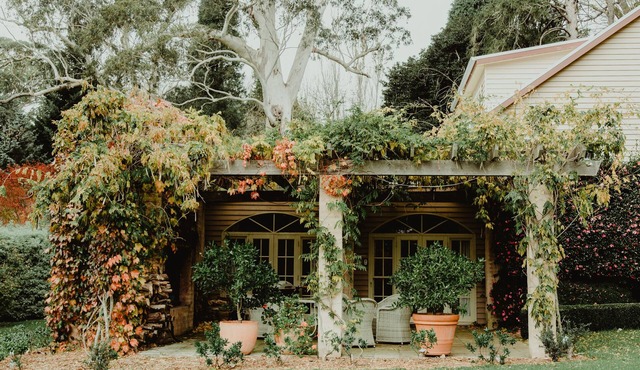Wisteria Lodge | Mt Wilson | 24 Acres of Established Heritage Botanical Garden