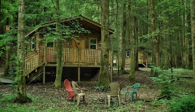With a king sized bed BEAR'S LAIR gives comfort of home plus an outdoorsy vibe!