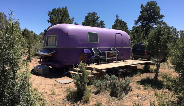 With its retro style and playful color scheme, this unit offers a fun and comfortable escape.