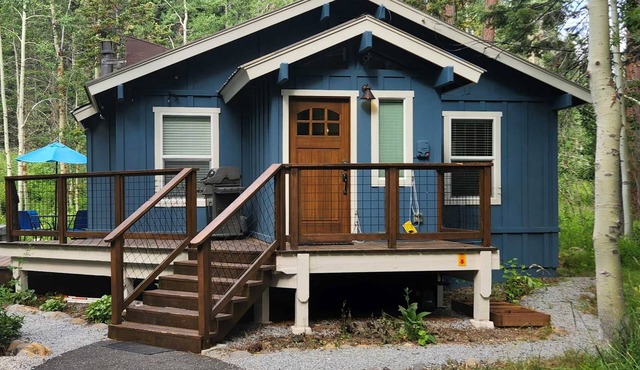 with private hot tub - dog-friendly