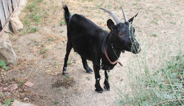 without right angles and a little bizarre: original accommodation for individualists