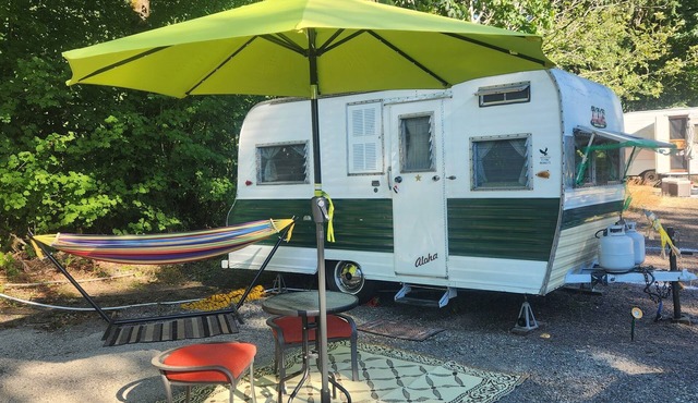 Wizard of Oz themed, Vintage 1967 Aloha Camper/Glamper!