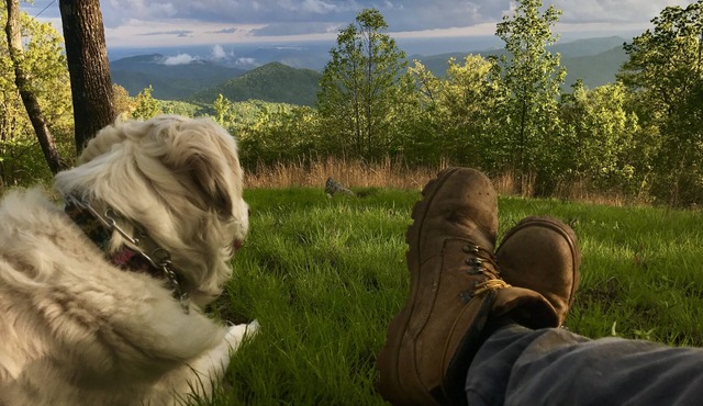 WNC’s Breathtaking Blue Ridge & Great Smokies meet the SC Jocassee Gorges