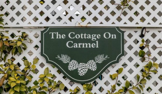 WOC PETS OK! Walk to Harborside, Bayhopper water taxi! Nature Lovers Delight!