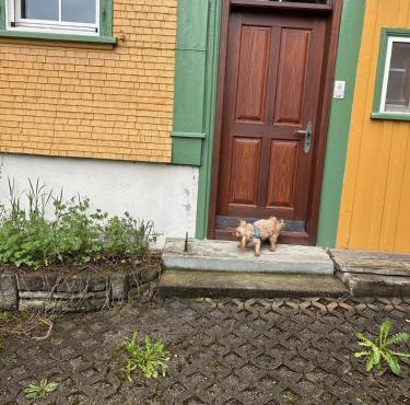 Wohnhaus Münzmühle in Appenzell