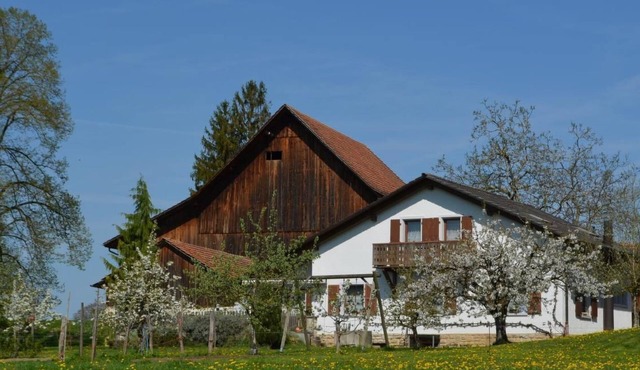 Wohnung "Bellevue" by Interhome