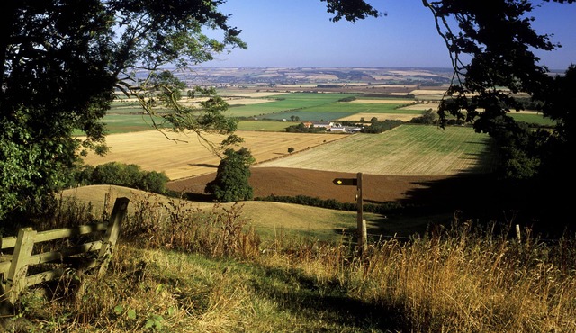 Wolds Holiday Cottage, Pocklington.York