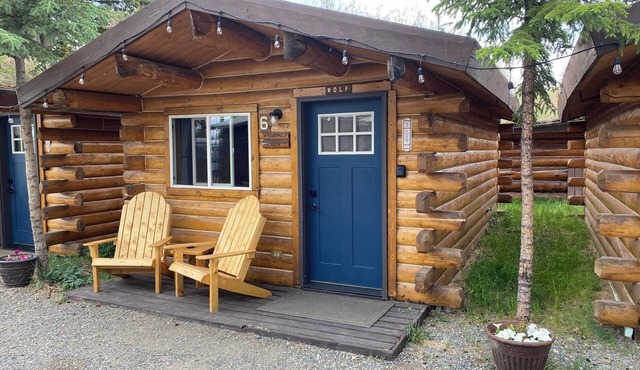 Wolf Cabin-Modern Comfort in the Last Frontier (For families or casual travelers)
