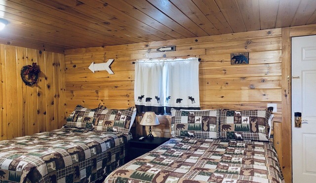 Wolf Den at The Black Bear Inn! Satellite, WiFi, Near River & Hiking Trails!