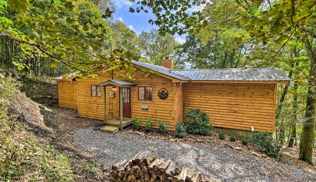 Wolf Laurel Resort Cabin Near Hiking and Skiing!