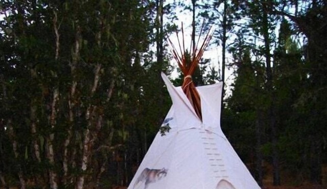 Wolf Tipi -is a 16' camping tipi with padded cots - Sleeps up to 5 - Bring your own sleeping bags!