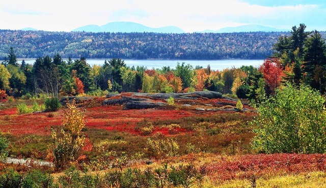 Wolfe's Way Priv. Beach, Waterfront Kayak, Swim & Acadia!