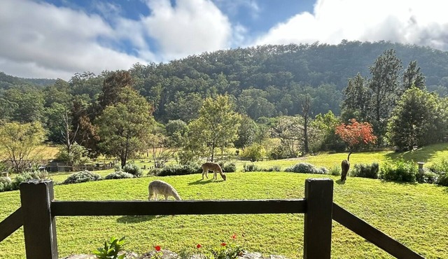 Wollombi Country House set in a private 4 acre garden estate with rural views.