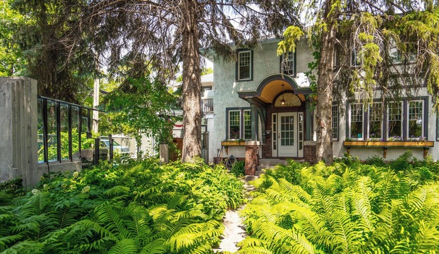 Wolseley Studio Oasis in beautiful forrest canopy settingnWith Hot Tub and Pool