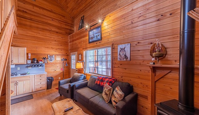 Wolves Den Cabin,WIFI, game room - Backs Tonto Forest, stocked kitchen, heat AC