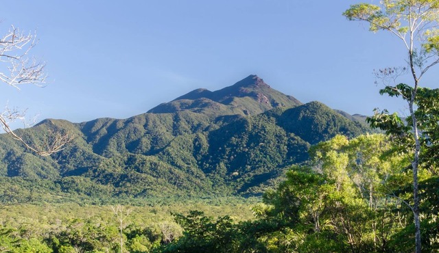 Wompoo Eco Retreat - Mangosteen Bungalow with views