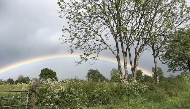 wonderful 4 bedroom cottage sleeps 8