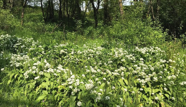 Wonderful 4 Bedroom Cottage Sleeps 8