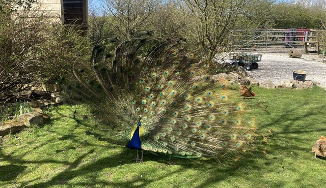 Wonderful accommodation in the heart of the Dales